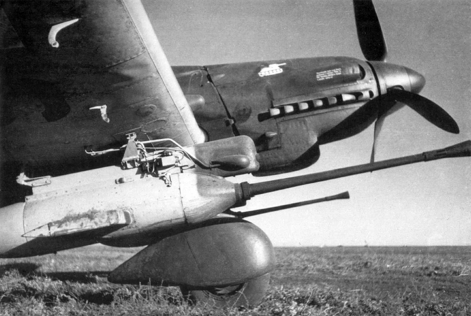 Ju 87 G-2 Kanonenvogel