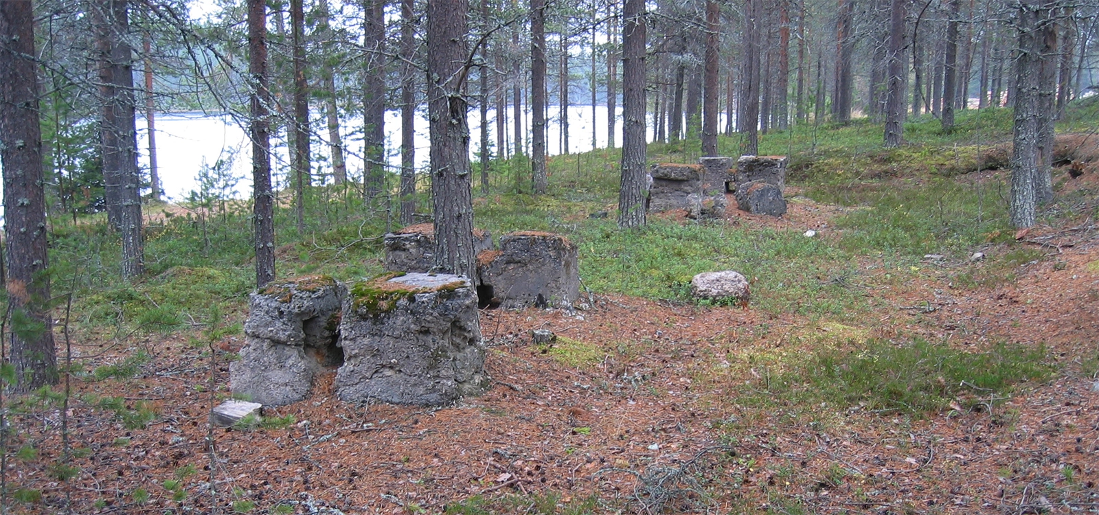 Puutavaravaraston rauniot