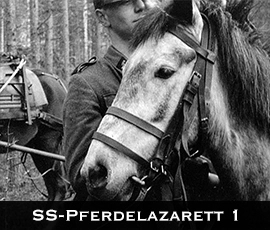SS-Pferdeazarett 1