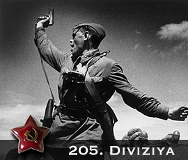 205. divisioona