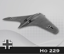 Ho 229